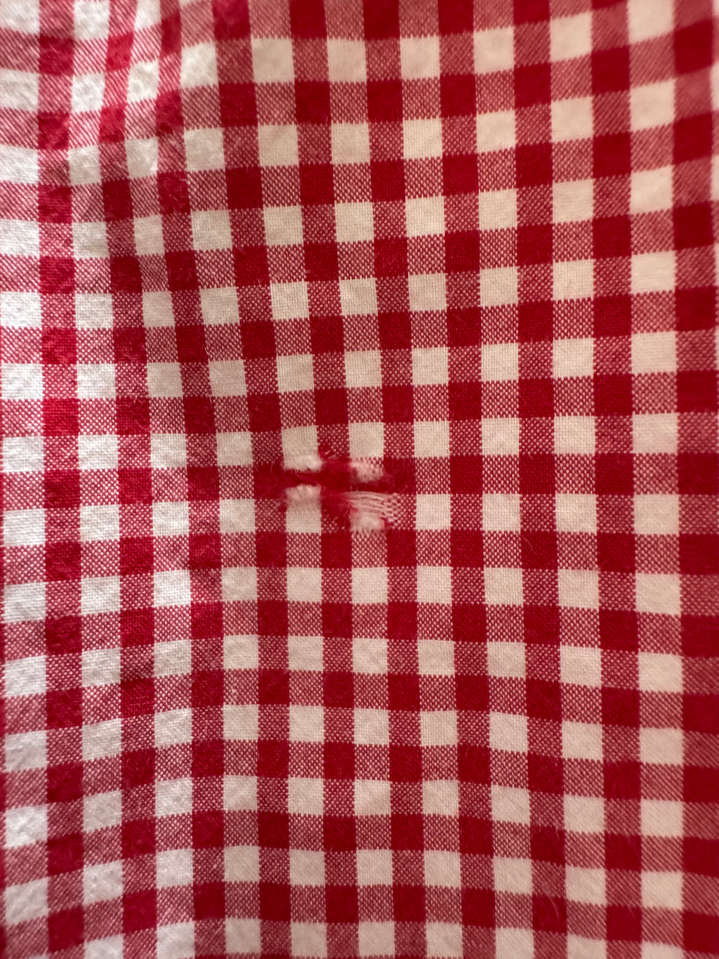Red AND Purple Ralph Lauren GIngham - Size Medium/Large