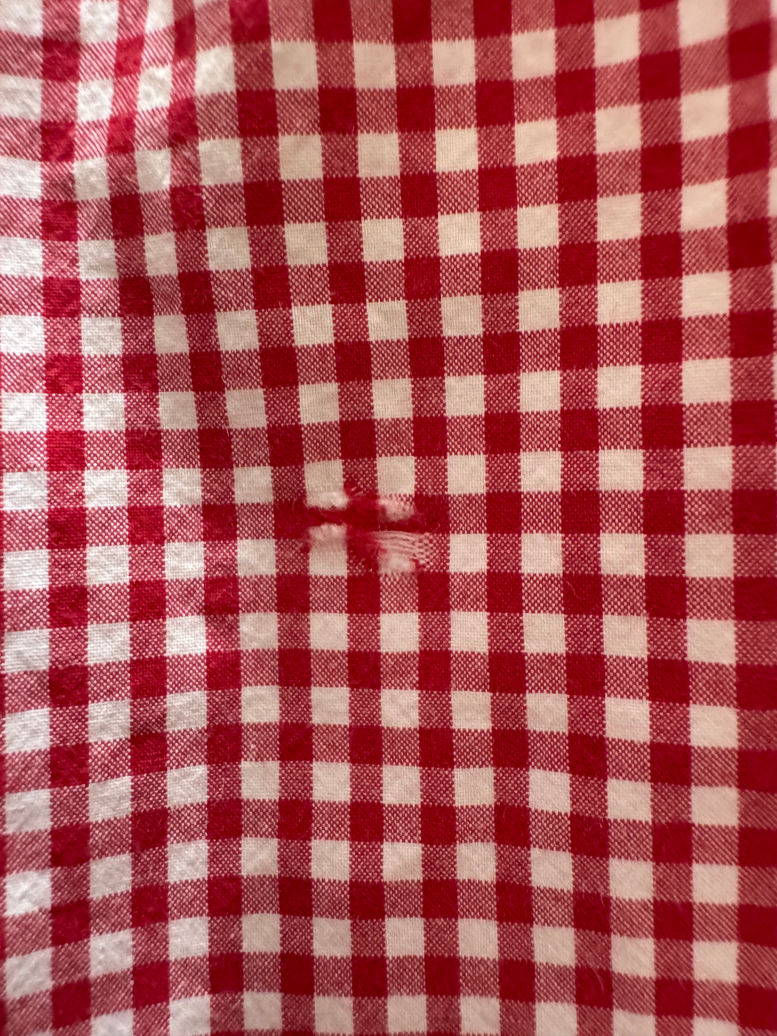 Red AND Purple Ralph Lauren GIngham - Size Medium/Large